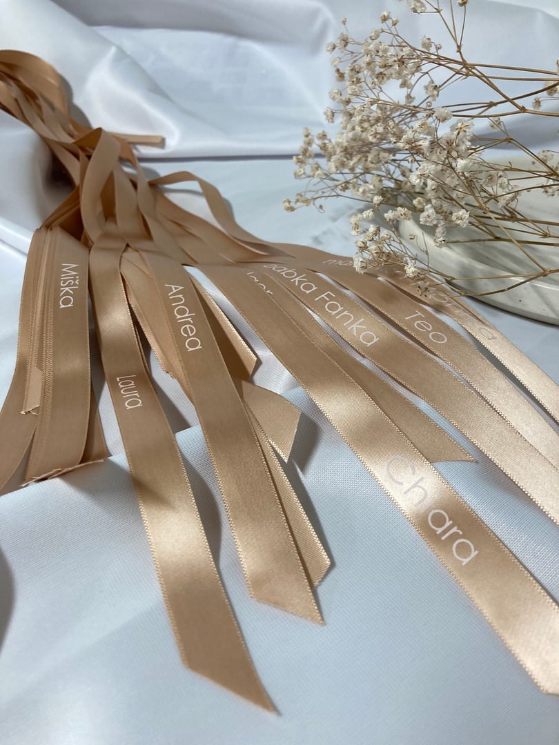 Manually added from URL: https://scontent-prg1-1.xx.fbcdn.net/v/t39.30808-6/624518204_1586910329078508_878508932478857410_n.jpg?stp=cp6_dst-jpg_tt6&_nc_cat=104&ccb=1-7&_nc_sid=13d280&_nc_ohc=Bp71YHZllAEQ7kNvwH65ZqE&_nc_oc=Adkw_xh9TtJlMsf1mMQkIShqcv9zS6yZrAxwr4RB9fcWAbVZBo-7zCYGPT9cYCaLPik&_nc_zt=23&_nc_ht=scontent-prg1-1.xx&_nc_gid=Hk68_GKGq-W1_xqW2GNgXQ&_nc_ss=8&oh=00_AfxfSOxgbxJPM5Abwc-1MFNHrm6vZld6fbql8Rmx_YcepQ&oe=69BAD1BF