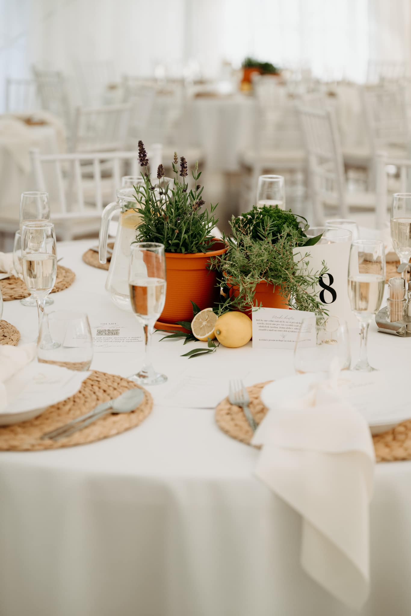 Manually added from URL: https://scontent-prg1-1.xx.fbcdn.net/v/t39.30808-6/487204777_1059289766219438_8312101344472605118_n.jpg?_nc_cat=105&ccb=1-7&_nc_sid=7b2446&_nc_ohc=DsTQPjrvXDkQ7kNvwEyj_vA&_nc_oc=AdnJCI9nnfZeFM6jtCa2F9W-WmXw2NGTHeZe4bYnAeS7_Vk8YKp7h2QsjRIZD6sKjyo&_nc_zt=23&_nc_ht=scontent-prg1-1.xx&_nc_gid=oWF_clwuFfp629EqkJcJug&_nc_ss=8&oh=00_Afxq1GQbBeFLPv1QkpxwR0VJi5XrcWoQRq1LNnHnCgQWBw&oe=69BB9B4D