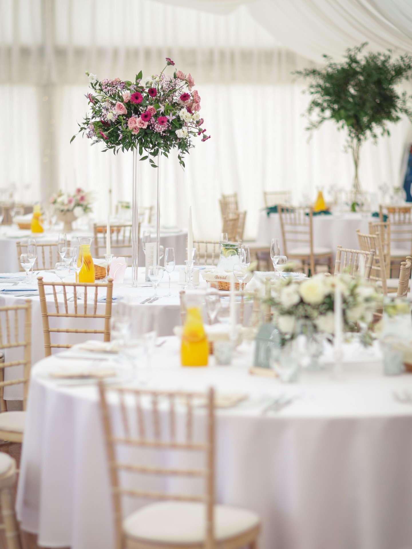 Manually added from URL: https://scontent-prg1-1.xx.fbcdn.net/v/t51.82787-15/645913026_18123688537563152_7325650274982893192_n.jpg?_nc_cat=108&ccb=1-7&_nc_sid=13d280&_nc_ohc=I6w6AedZhuAQ7kNvwF8fsL1&_nc_oc=AdkXUGqVVED0OcohzENdiw0XFpcPmNuCd4GryACyqhBD9NZKn-rSExy7g6YCStduSCU&_nc_zt=23&_nc_ht=scontent-prg1-1.xx&_nc_gid=q7tw7cKSC7YbFPMdamTQyA&_nc_ss=8&oh=00_AfwgpVUck3RDiEw_EvWDT5PsRdxEmOUOluyZ9VT7y8AK4g&oe=69BB95E4