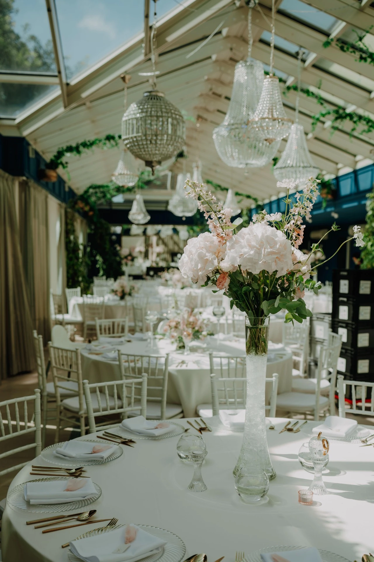 Manually added from URL: https://e9bcacf1a7.clvaw-cdnwnd.com/d9c907694e246f8f900ad7c44bb0abe5/200004205-5032350325/DSC05189.webp?ph=e9bcacf1a7