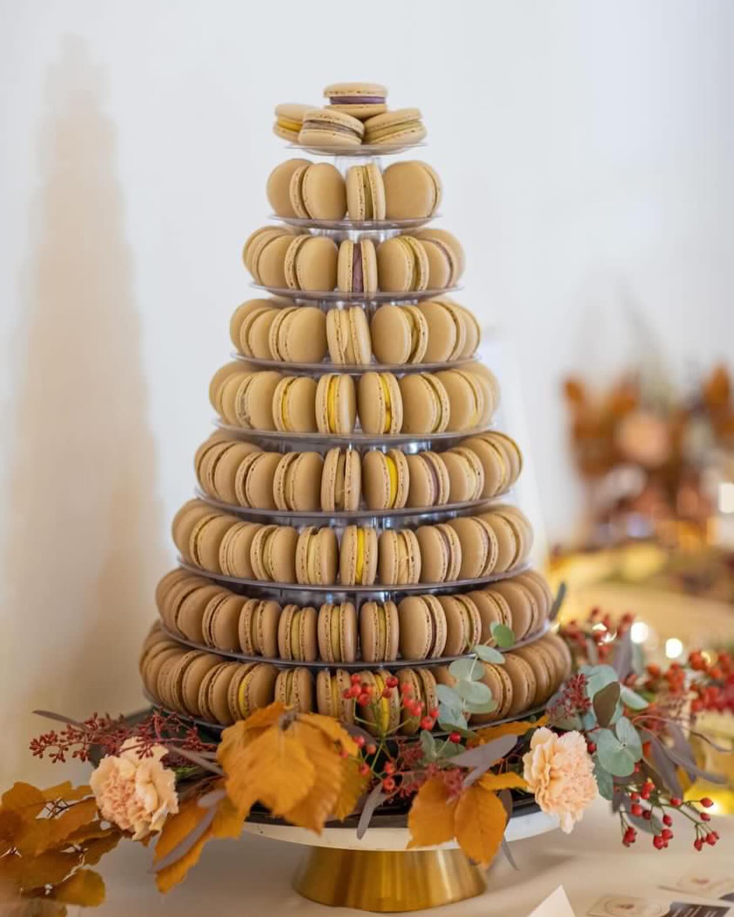 Manually added from URL: https://scontent-prg1-1.xx.fbcdn.net/v/t39.30808-6/469852723_18050763353058066_2628978436892430071_n.jpg?_nc_cat=102&ccb=1-7&_nc_sid=13d280&_nc_ohc=WyZLwpDzYicQ7kNvwEWF5GK&_nc_oc=AdnxQzWCwS57G87FsUg9DmA5xLSYmD_iUf3JkPfDL2ZWVfPT_p_p8UIKX8cl8GLTYVM&_nc_zt=23&_nc_ht=scontent-prg1-1.xx&_nc_gid=FC-TSVAdSNHa0Gz1D6mazw&_nc_ss=8&oh=00_AfwHUbswnTmgpqkIYUp4ObHIeAsuYznVq_6KEmdHLd3zDA&oe=69BB85DC