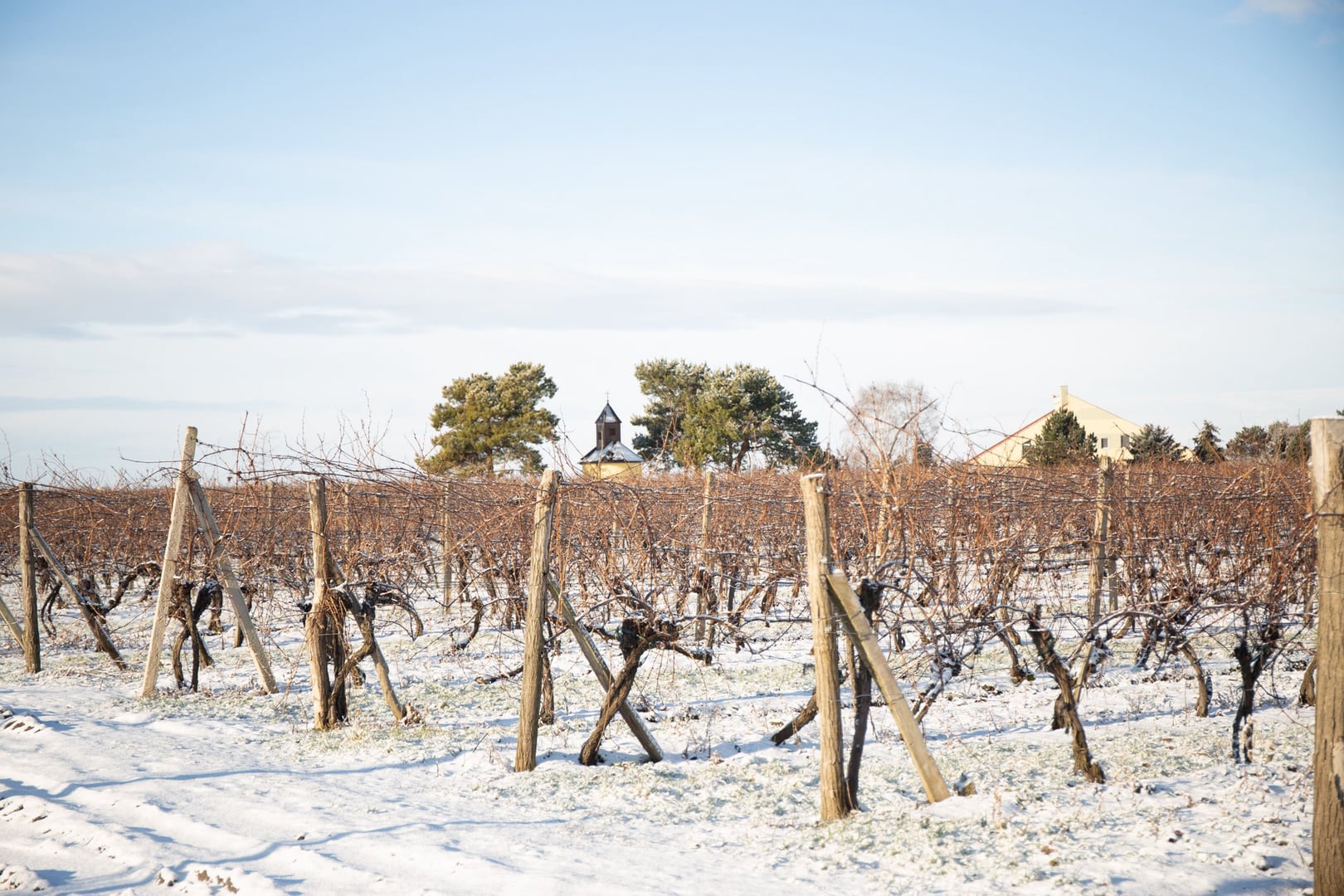 Manually added from URL: https://scontent-prg1-1.xx.fbcdn.net/v/t39.30808-6/604612625_1711834040161070_3411553433611981073_n.jpg?_nc_cat=110&ccb=1-7&_nc_sid=7b2446&_nc_ohc=-w3uBc3YpfsQ7kNvwGUBAXK&_nc_oc=AdnaXG8kfEM0AKisXzc8Wwg9m4yT9RRcioWnOKo7uA5FIOHtr27iFpu5_NSnfBQtRI8&_nc_zt=23&_nc_ht=scontent-prg1-1.xx&_nc_gid=9rp7BRm3eixJ2q5OXf-CUw&_nc_ss=8&oh=00_AfyJ9wfxz_-ocGzbUauT1KlRQ6OTIF0l-gdXFMrIVvo2aw&oe=69BB8633